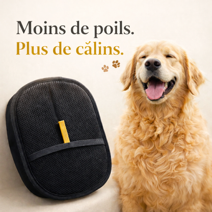 Gant Anti-Poils Réutilisable